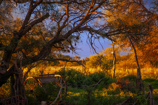 Argentina Country view